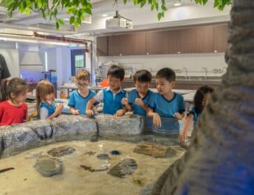 Dive Into Discovery With The Harbour School’s Junior Marine Science Program