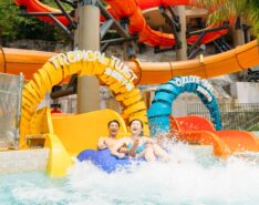 frenzy summer party at water world ocean park